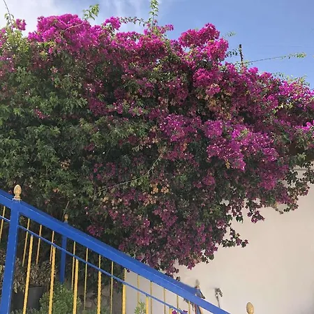 Nino Hotel Dhermi