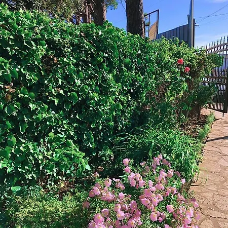 Hotel Nino Dhermi